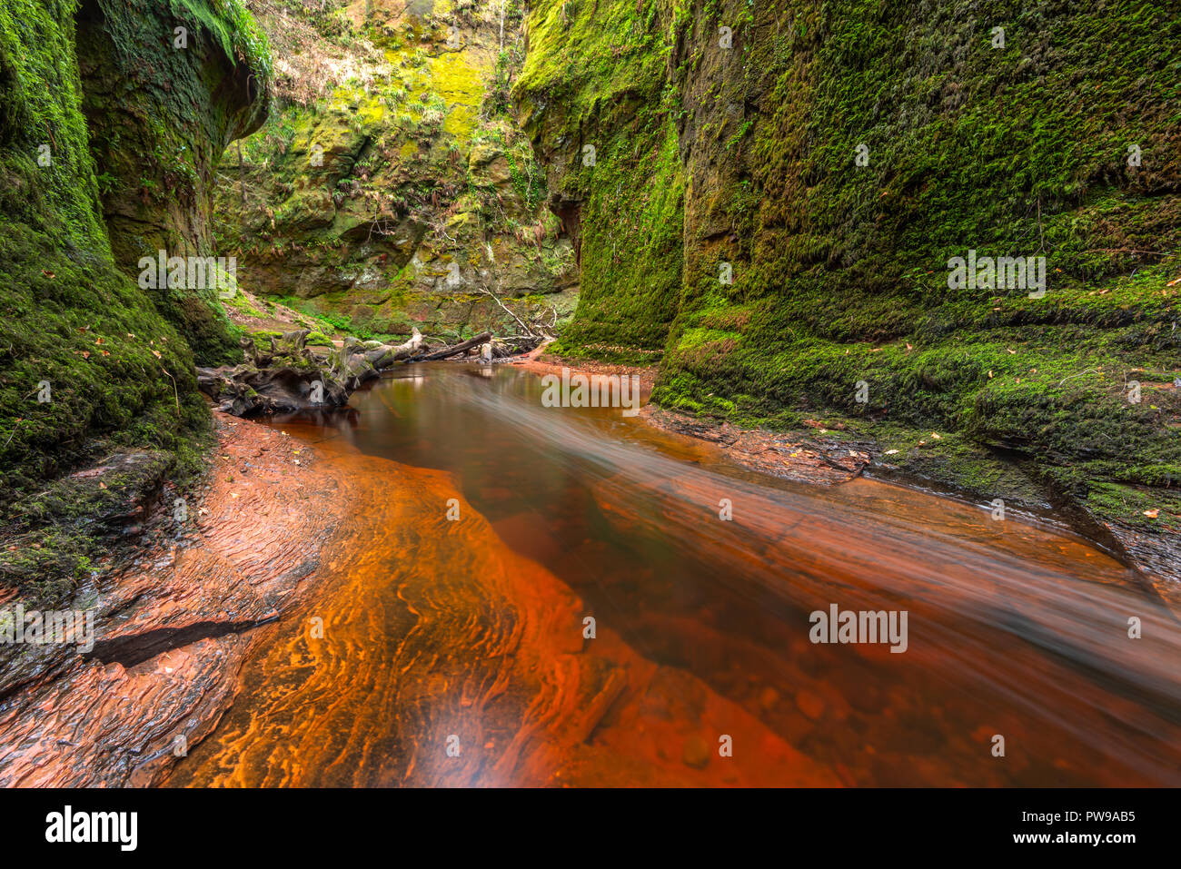 Blood Red River in einem grünen Schlucht. Devil's Kanzel, Finnich Glen, in der Nähe von Killearn, Schottland, Vereinigtes Königreich Stockfoto