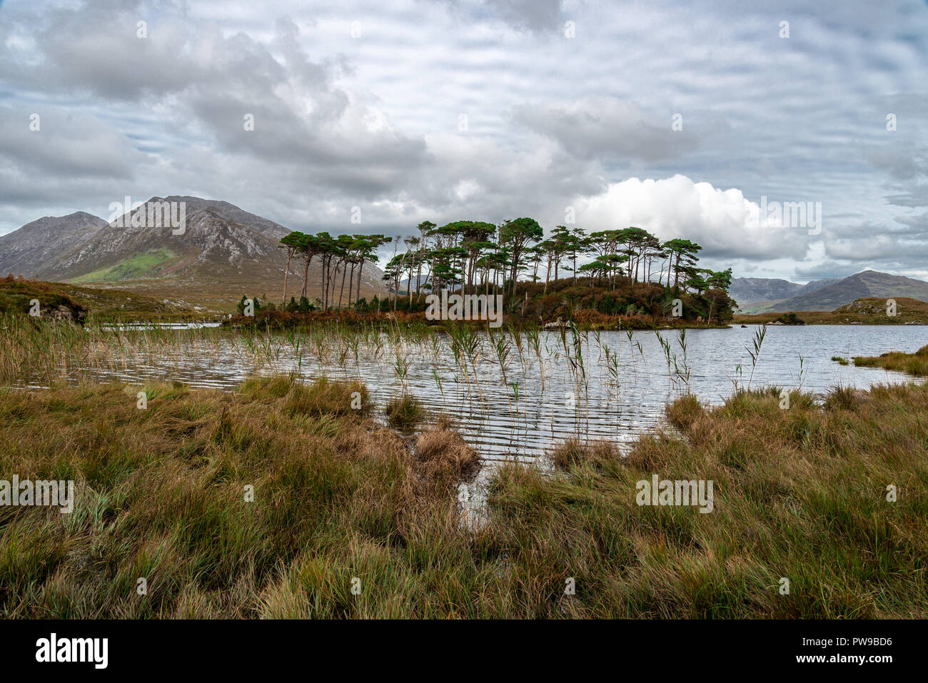 Derryclare Lough 12 pines Island County Galway, Irland Stockfoto