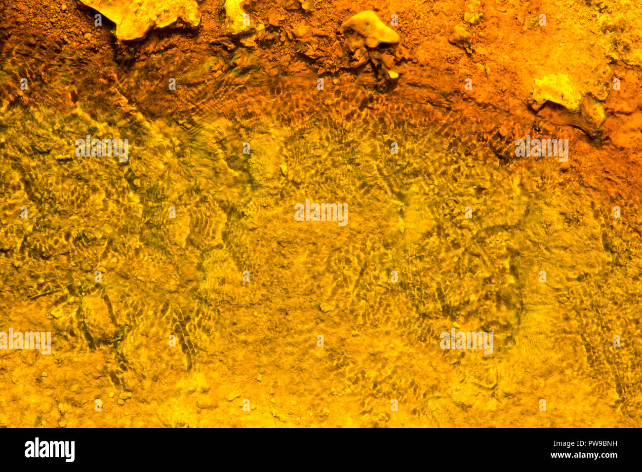 West Thumb Geyser Basin Kupfer und Gelb, Yellostone Nationalpark, Wyoming Stockfoto