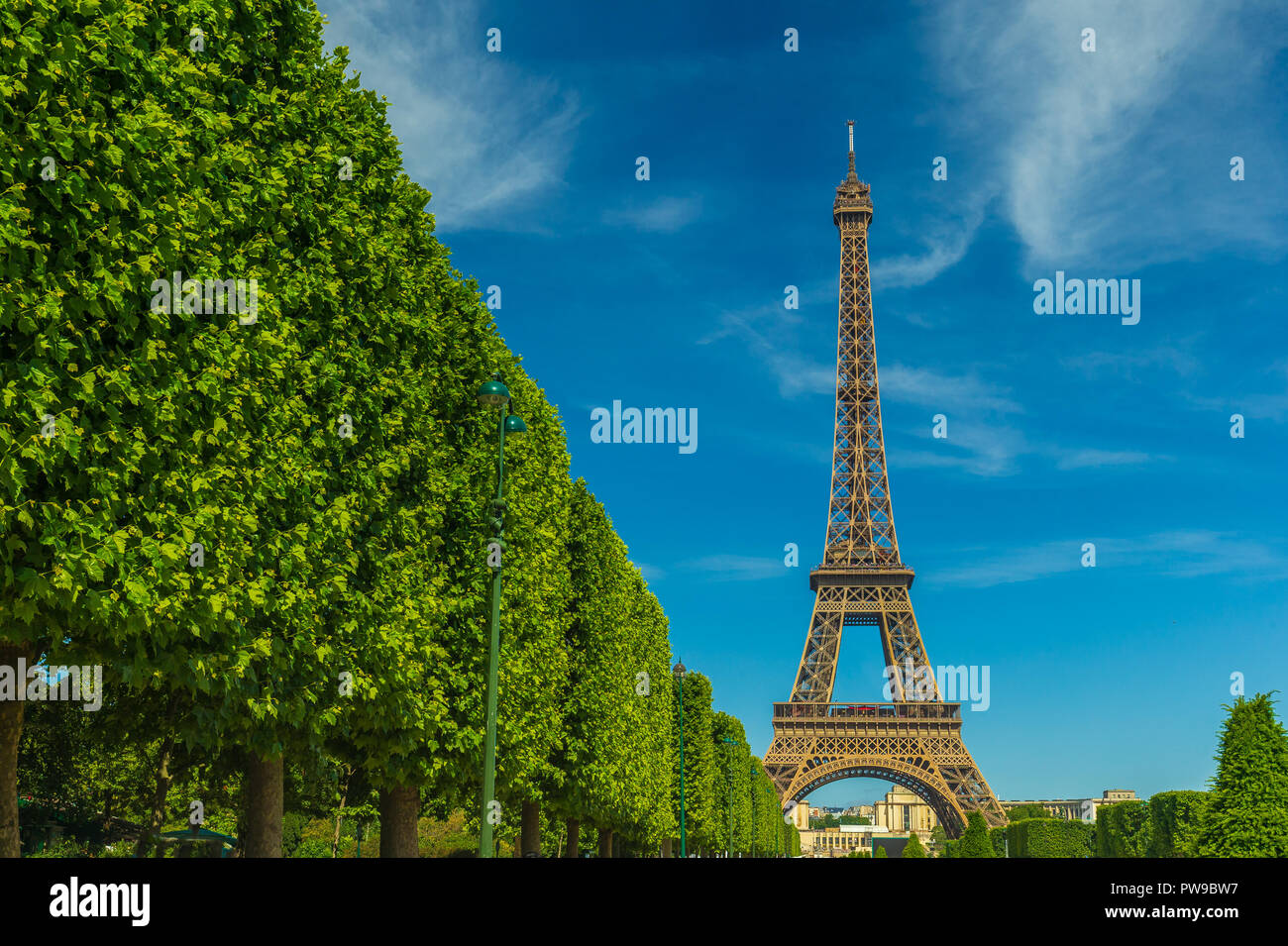 Paris im Sommer mit den Eiffelturm als zentrales Element Stockfoto