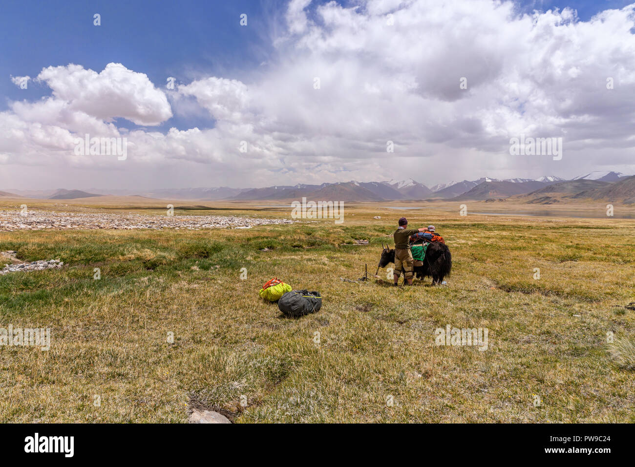 Kirgisischen Hirten und Yak verpackt für Expedition mit afghanischen Große Pamir im Hintergrund auf Trek von Keng Shiber Kara Jilga, Pamir, Tadschikistan Stockfoto