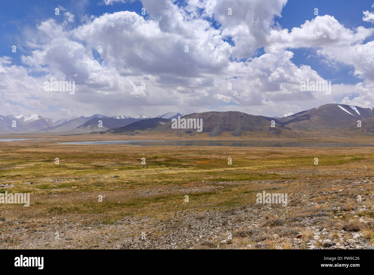 Afghanische große Pamir in Zorkul Naturschutzgebiet auf Trek von Keng Shiber Kara Jilga, Pamir, Gorno-Badakhshan, Tadschikistan. Stockfoto