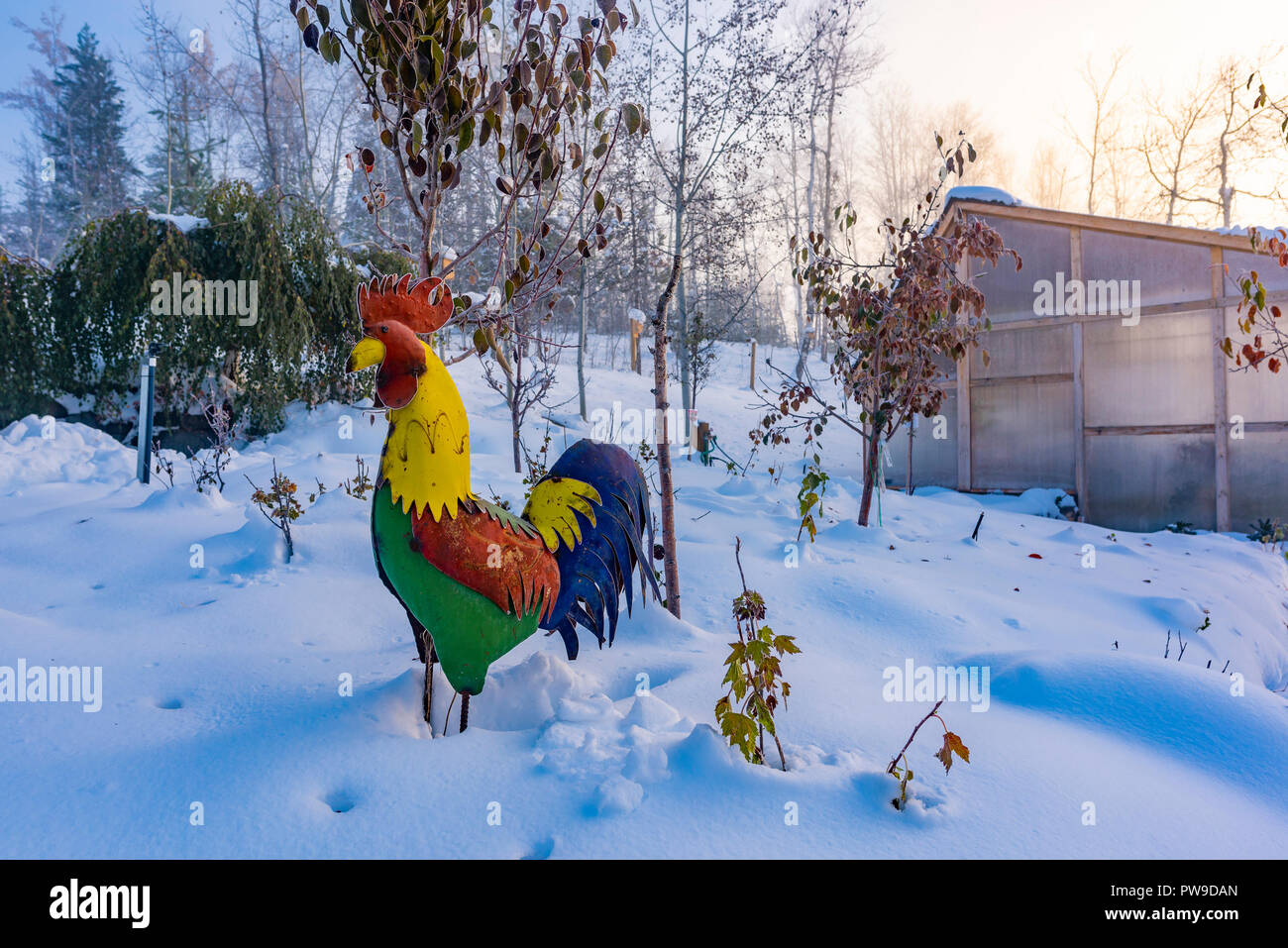 Metall Hahn garten Ornament, Schnee, Cariboo Region, British Columbia, Kanada Stockfoto