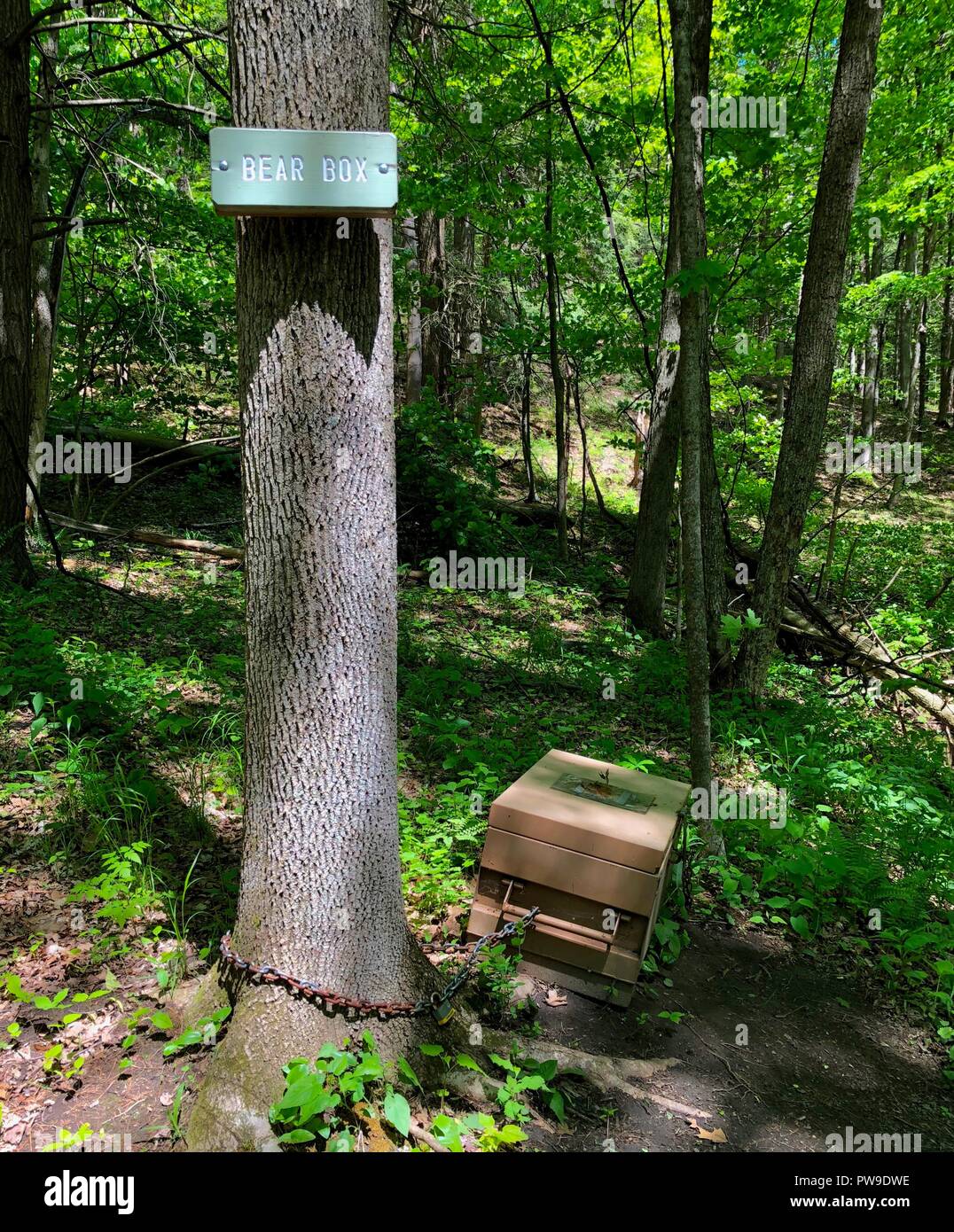 Tragen, und Zeichen auf Appalachian Trail in Berkshire Hills Stockfoto