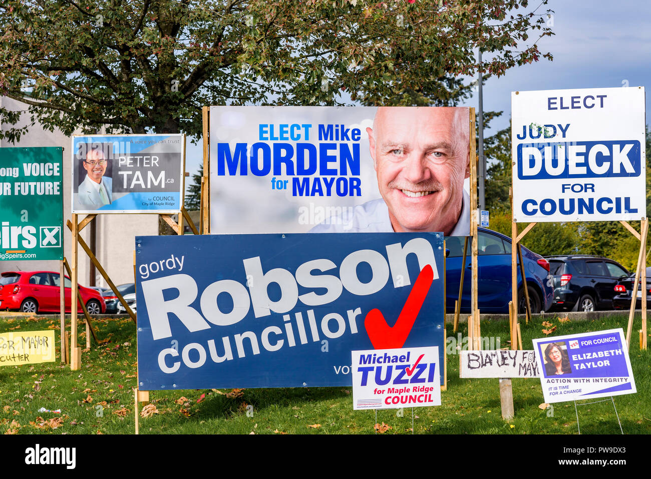 Lokale politische Zeichen für die Bürgermeister und Gemeinderäte, Maple Ridge, British Columbia, Kanada Stockfoto