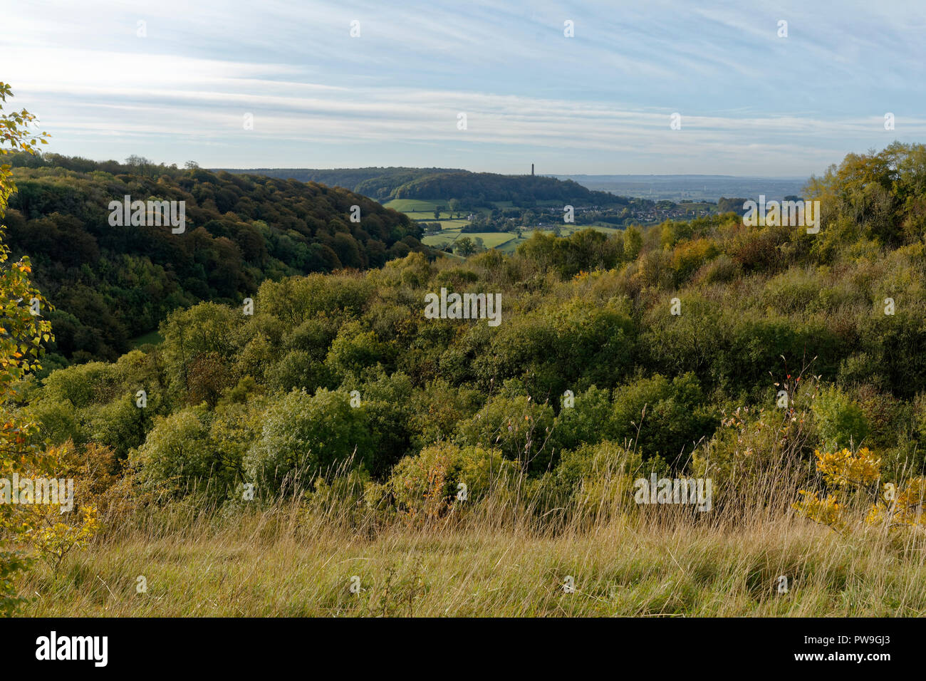 Herbstfarben auf Dursley Woods mit Tyndale Denkmal Stockfoto