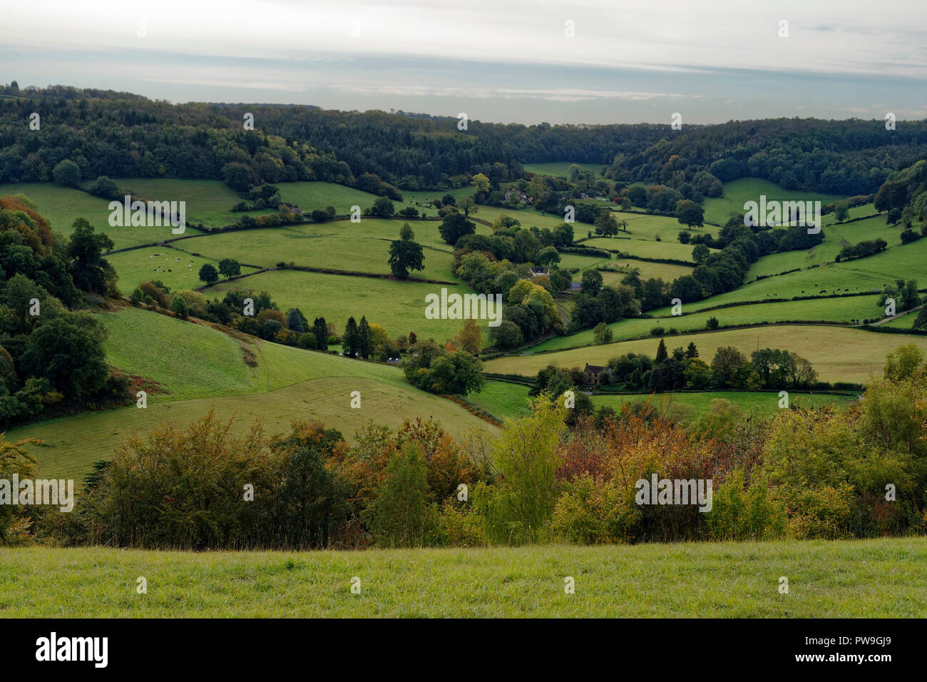 Waterley Unten betrachtet aus Holz Dursley, Gloucestershire Stockfoto