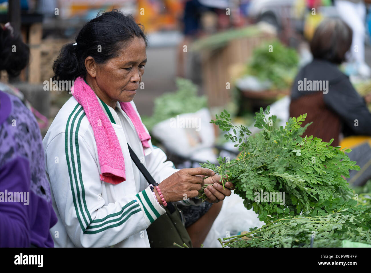 Filipino Frau verkaufen malunggay Werk innerhalb der CO2-Markt, Cebu City, Philippinen Stockfoto
