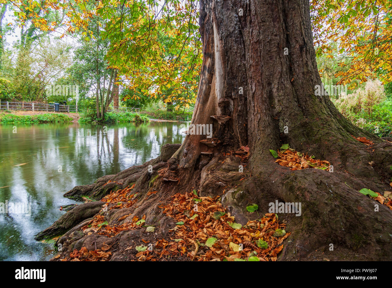 Fluss tas Fotos und Bildmaterial in hoher Auflösung Alamy