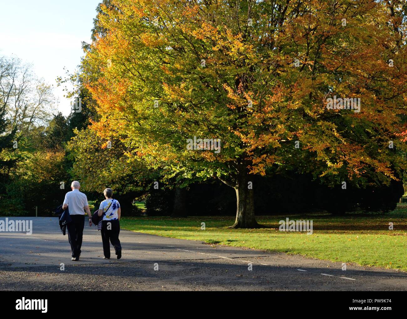 Ein reifes Paar, das durch Rouken Glen Park, East Renfrewshire, Schottland, Großbritannien, Europa bei warmem Herbstsonnen spazieren geht. Stockfoto
