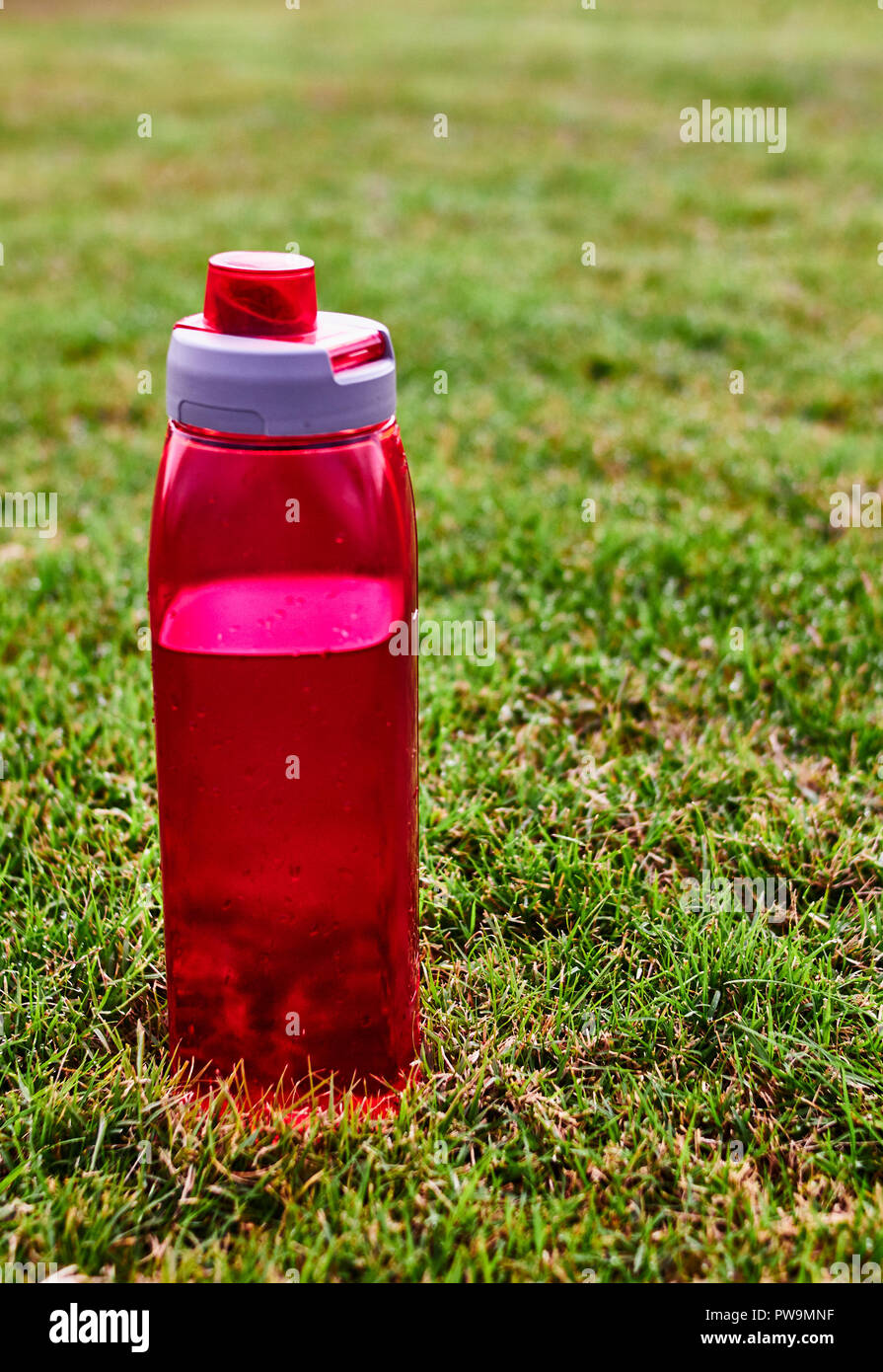 Rotes Wasser bootle auf dem Gras in einem Park Stockfoto