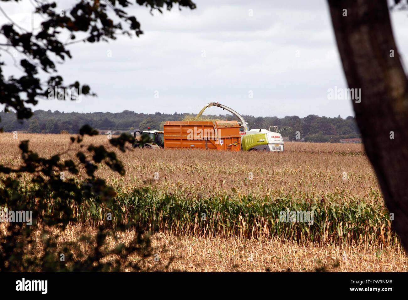 Claas Jaguar Maisernte Maschine wird von einem Traktor abgeschleppt wird. Getreide, Ernte, Harvester. Stockfoto