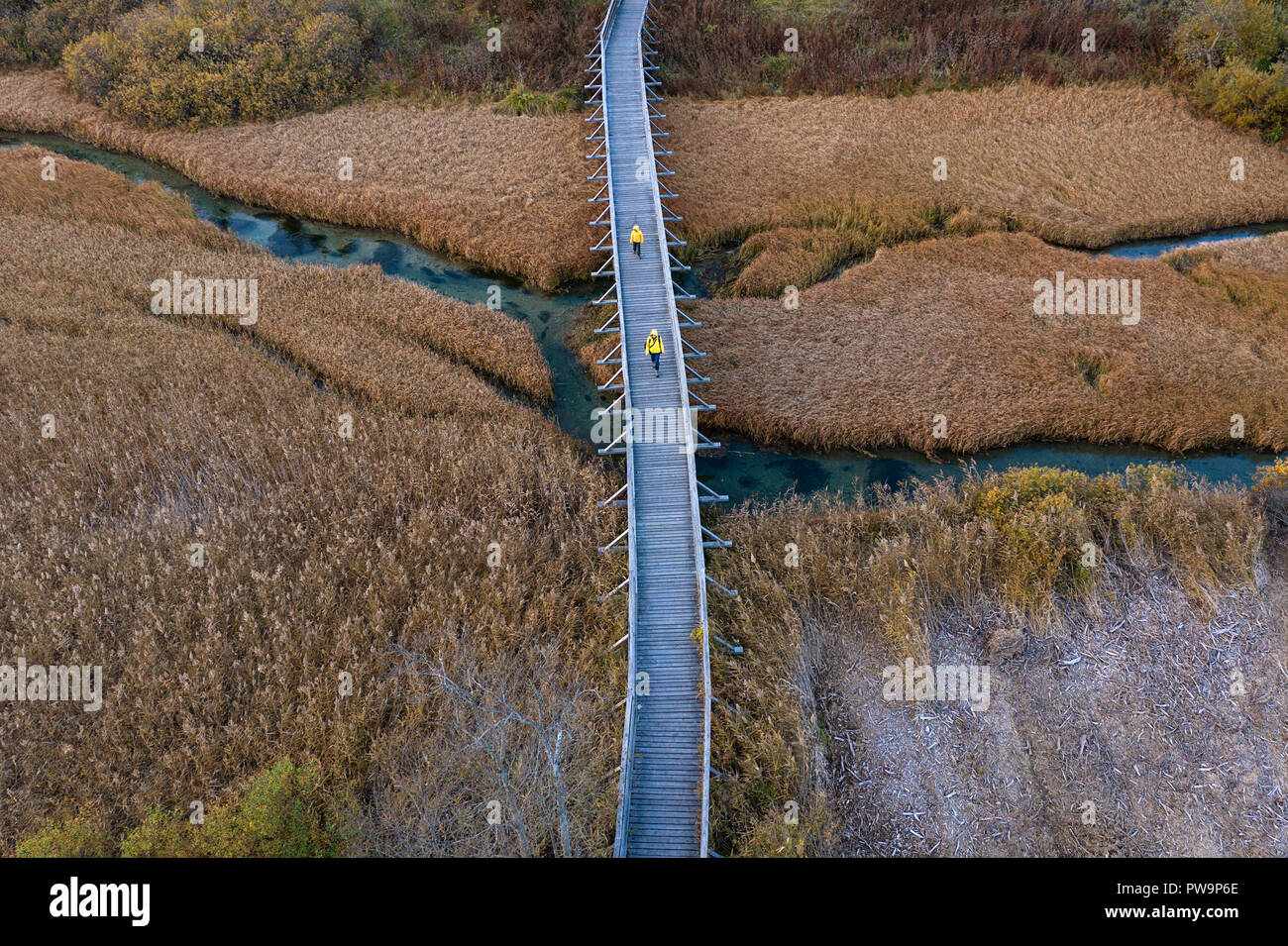 Holz- Spaziergang weg über chemische Reed auf dem Sumpf, Mutter und Sohn in gelben Jacken zu Fuß über die Brücke, Luftaufnahme Schuß Stockfoto