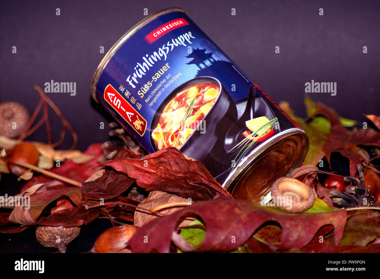 Konzept Essen: Chinesische Suppe Stockfoto