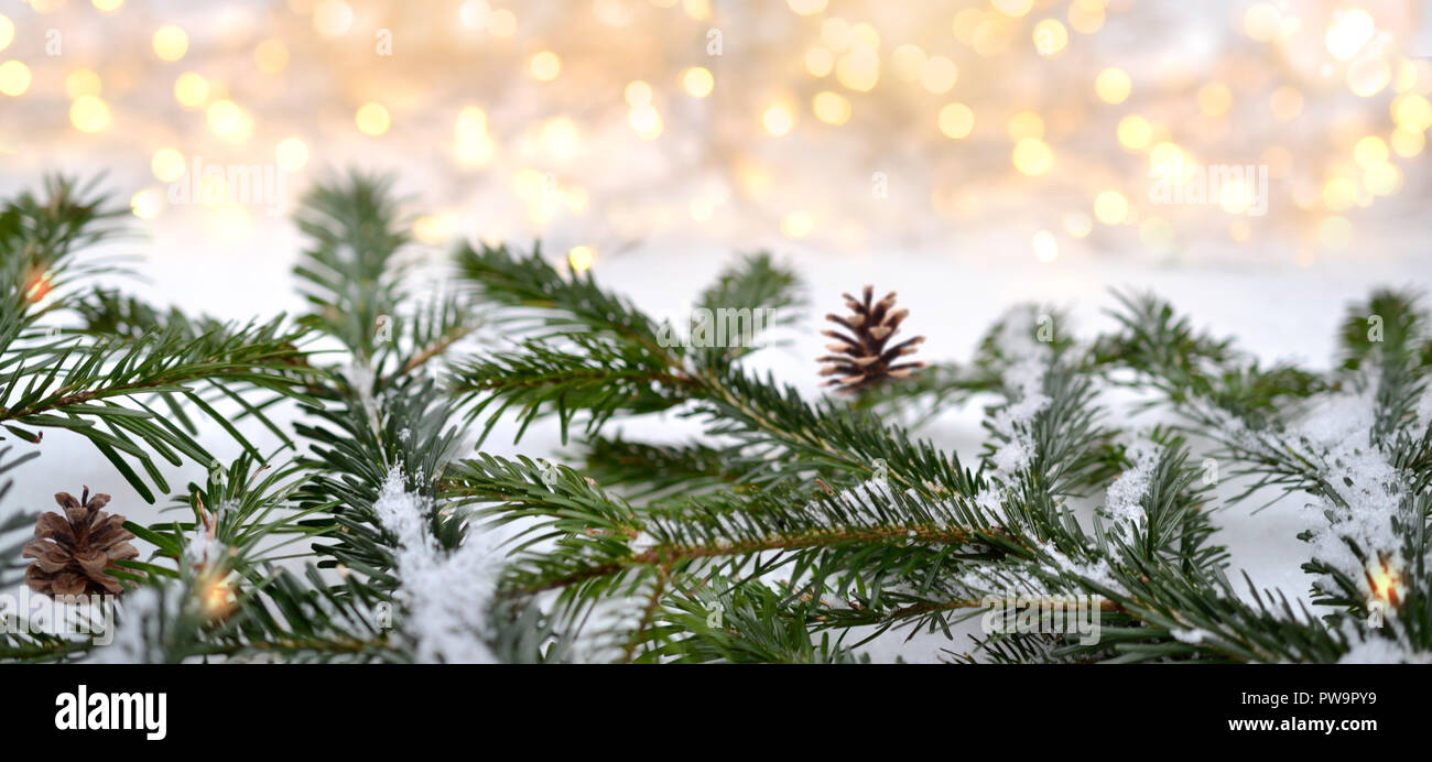 Weihnachten panorama Tannenzweigen mit Schnee Baum Stockfotografie