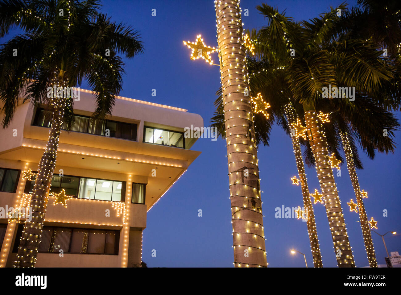 Miami Beach Florida, Rathaus, Gebäude, Palmen, Abenddämmerung, Abend, Weihnachtslichter, Winterurlaub, Saison, saisonal, Dekoration, Stern, blond, tropisch, traditio Stockfoto