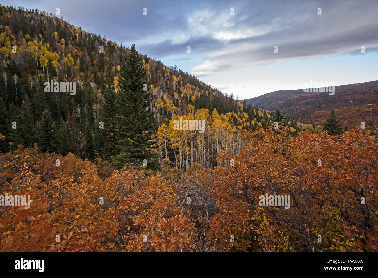 Manti La-Sal Herbst Szene Stockfoto