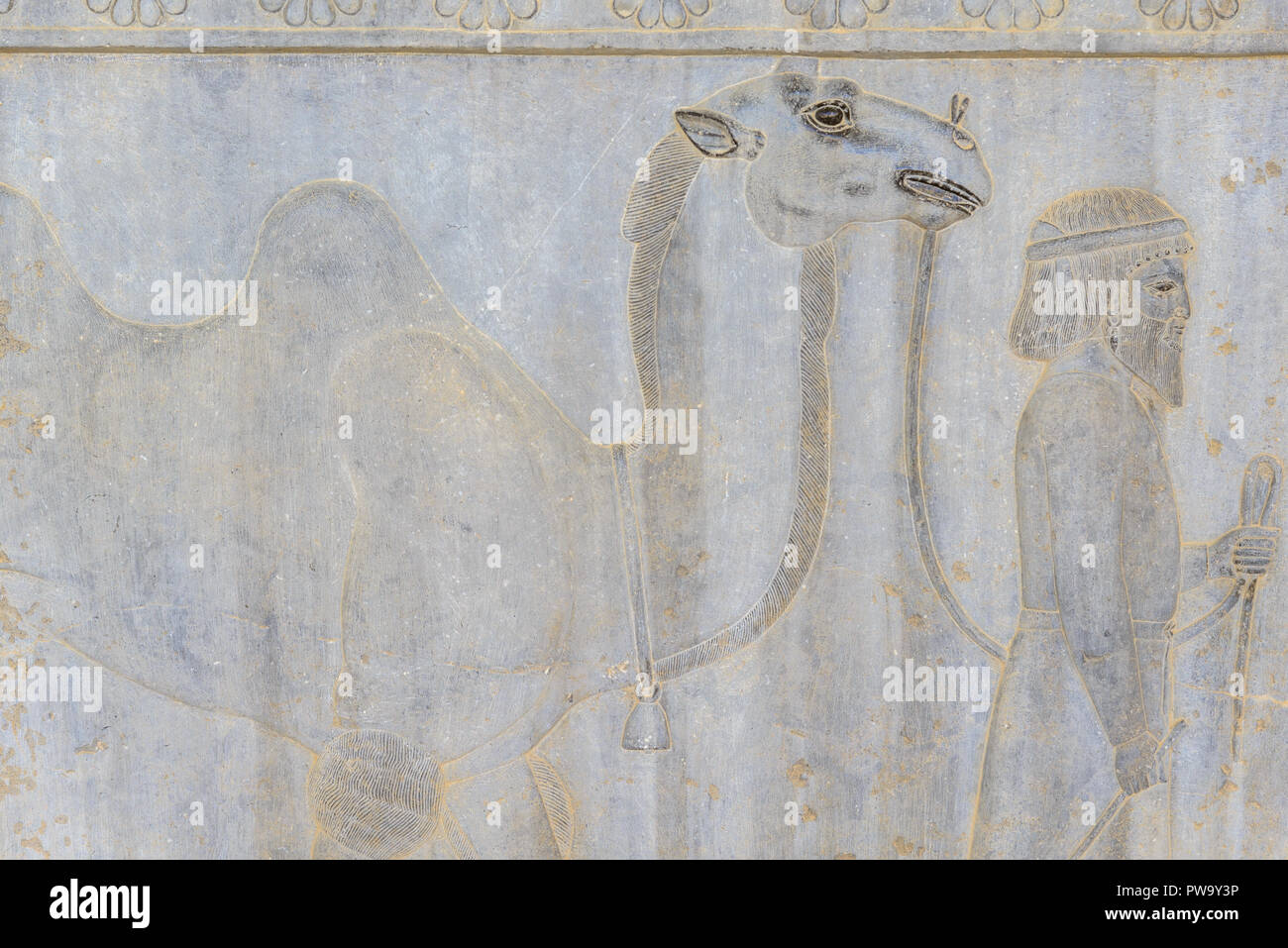 Detail einer Entlastung des östlichen Treppe der Apadana in Persepolis im Norden Shiraz, Iran - eines der UNESCO-Welterbe Stockfoto
