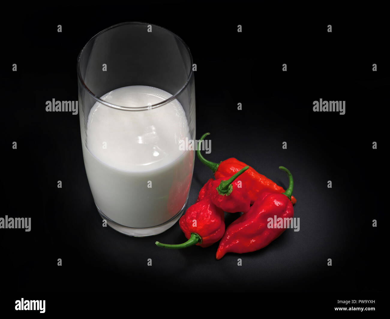Eine der Welten heißesten Chili Bhut Jolokia und ein Glas Milch auf schwarzem Hintergrund Stockfoto