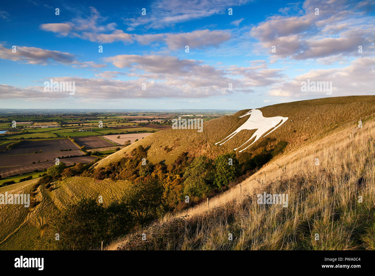 Westbury White Horse Stockfoto