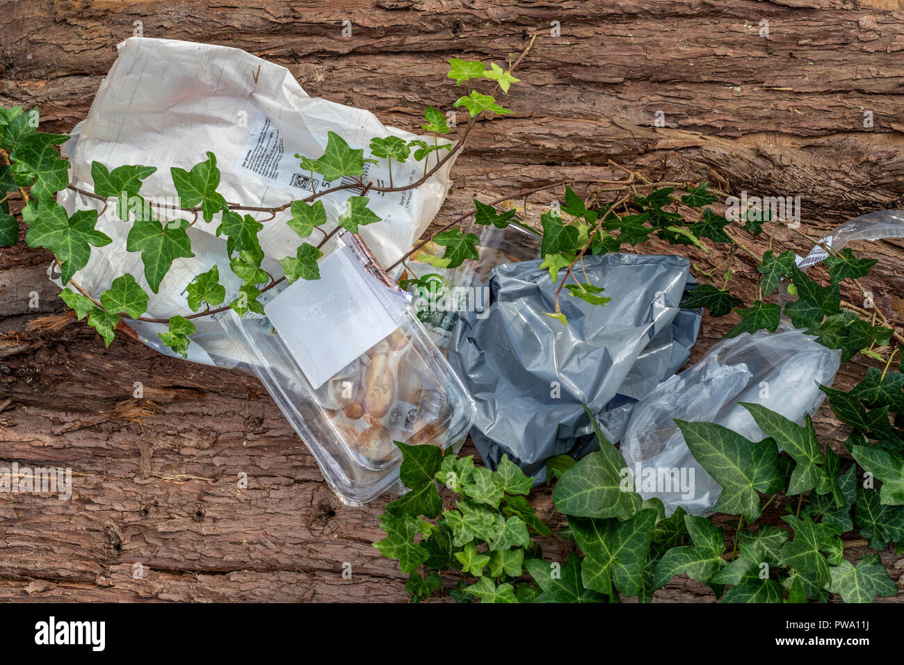 Kunststoffabfälle in der Landschaft aufgegeben. Umwelt verschmutzung durch Müll von Vegetation überwuchert. Stockfoto