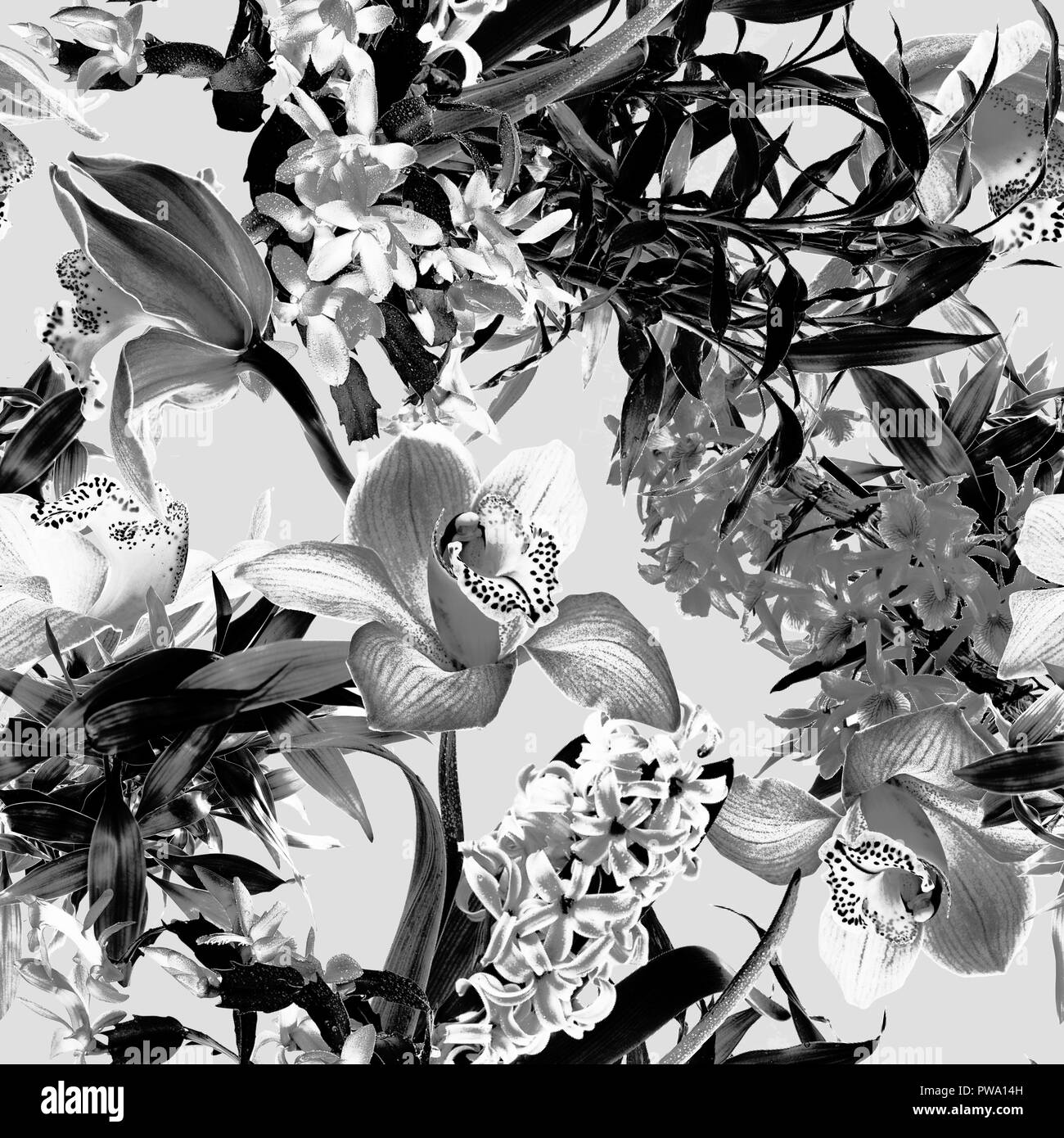 Tropische Blume Muster - Schwarz und Weiß Stockfoto