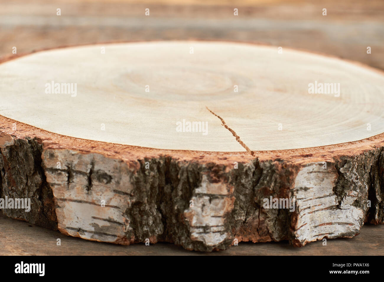 Natürlichen Baum Holz mit Rinde. In der Nähe von natürlichen Holz disc ...