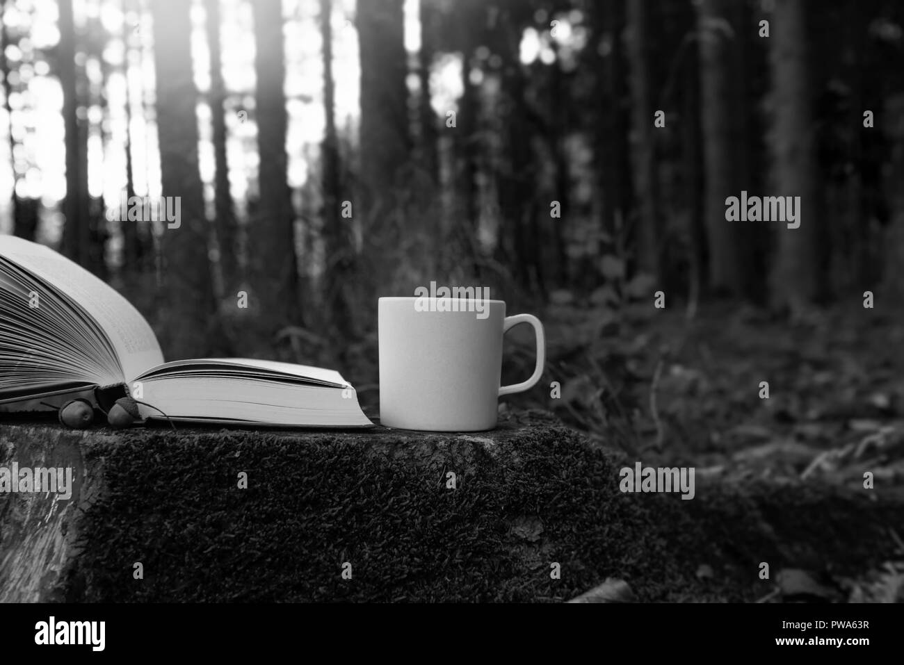 Lifestyle Bild Mit Einer Tasse Dampfenden Kaffee Und Ein Offenes Buch Auf Eine Baumwurzel Draussen Im Wald An Einem Sonnigen Tag Freizeitaktivitaten In Der Natur Stockfotografie Alamy