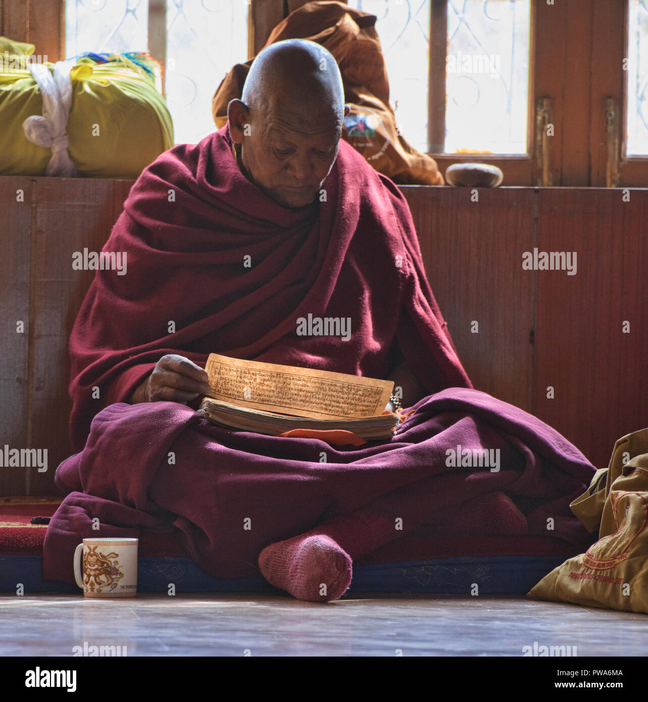 Gelugpa Mönche lesen Buddhistische Schrift, Diskit Kloster, Nubra Valley, Ladakh, Indien Stockfoto