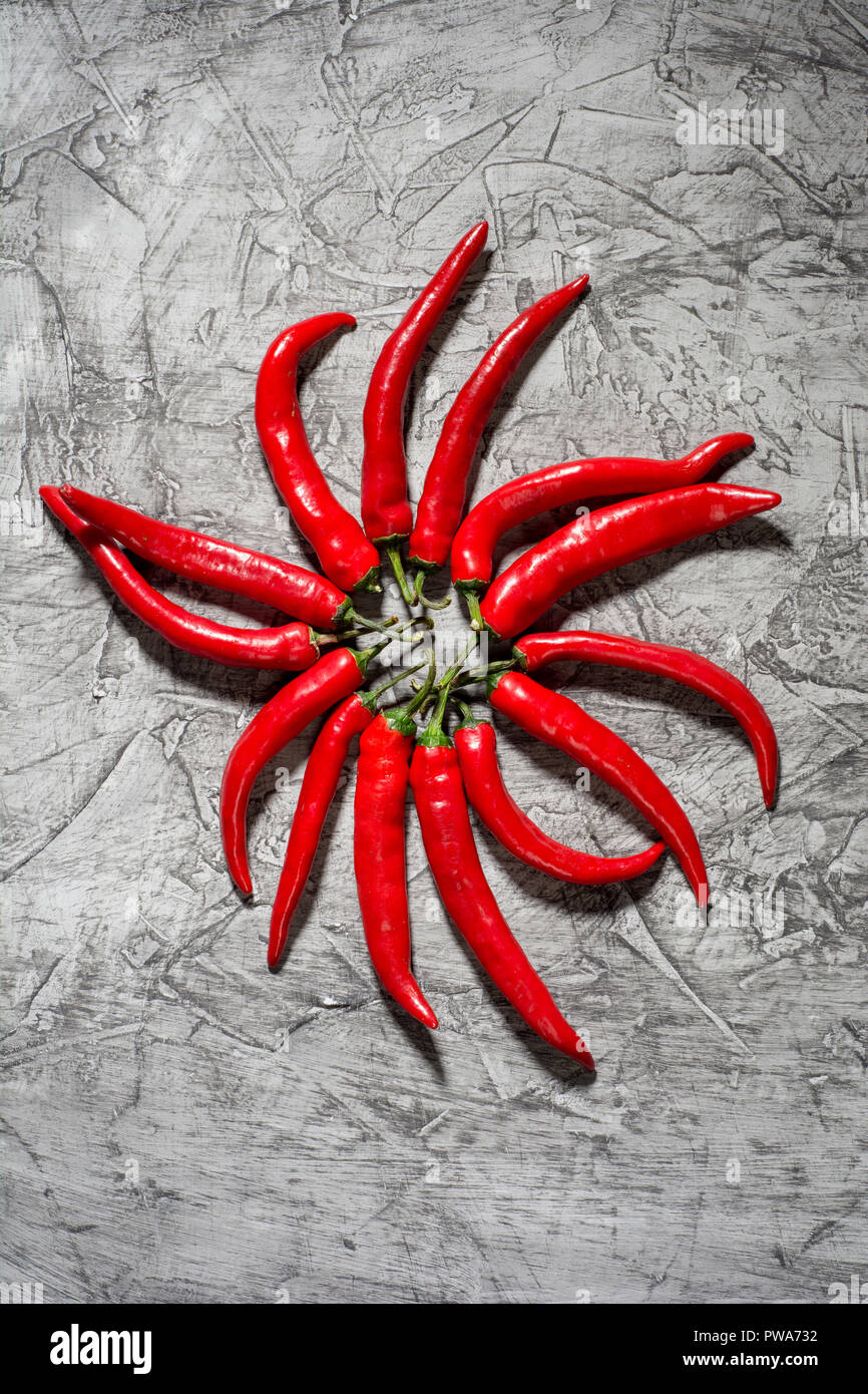 Red Hot Chili Pepper pod Close-up auf grauem Beton Hintergrund. Selektiver Fokus und Kopie Raum Stockfoto