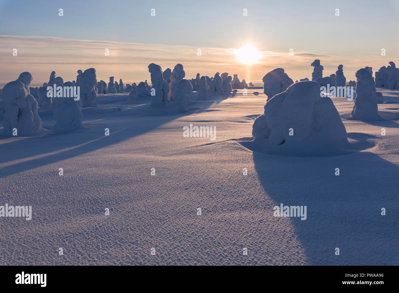 Sonnenstrahlen auf schneebedeckten Bäumen, riisitunturi Nationalpark, Posio, Lappland, Finnland Stockfoto