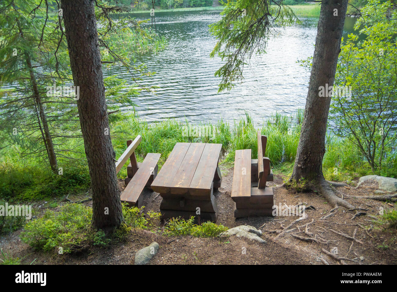 Picknick Tisch im Wald in der Nähe von See Stockfoto