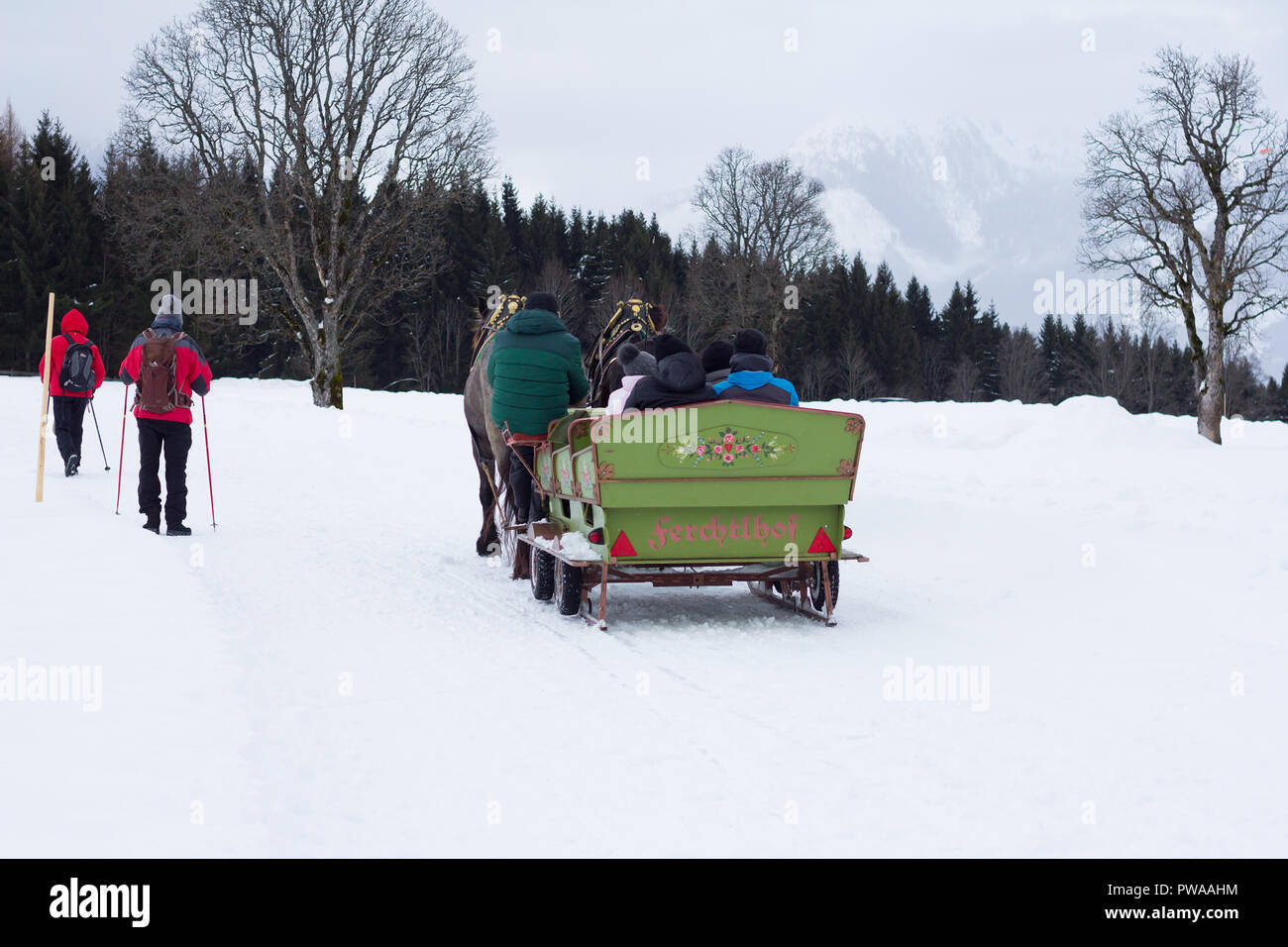 Ramsau am Dachstein Österreich - Januar 2018: Pferde ziehen Schlitten im Schnee Winter Landschaft auf Januar 2018 in in der Ramsau, Österreich Stockfoto