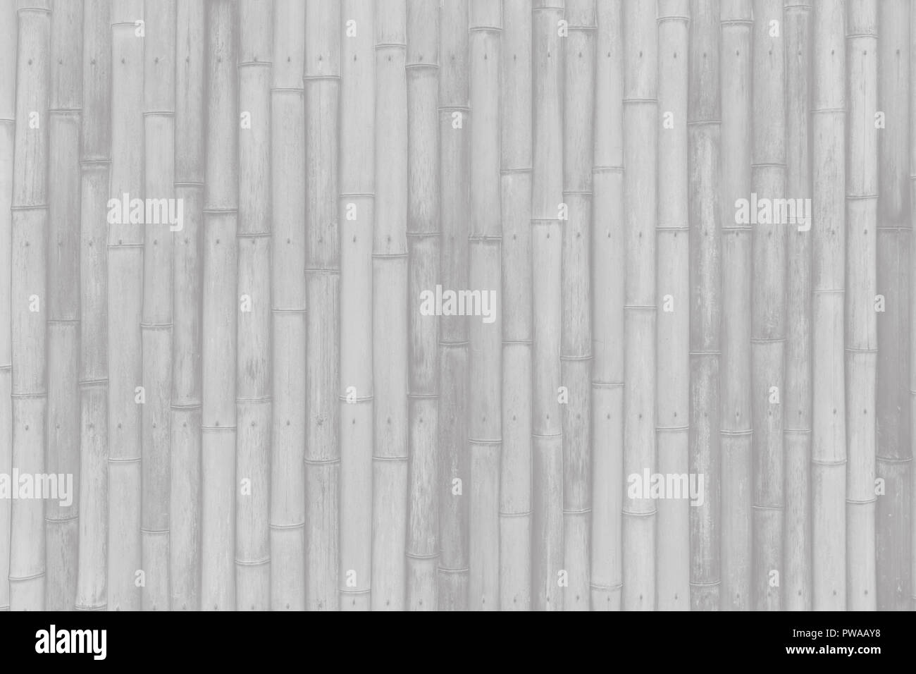 Weiß bambus holz Wand Boden Muster für den Hintergrund Stockfoto