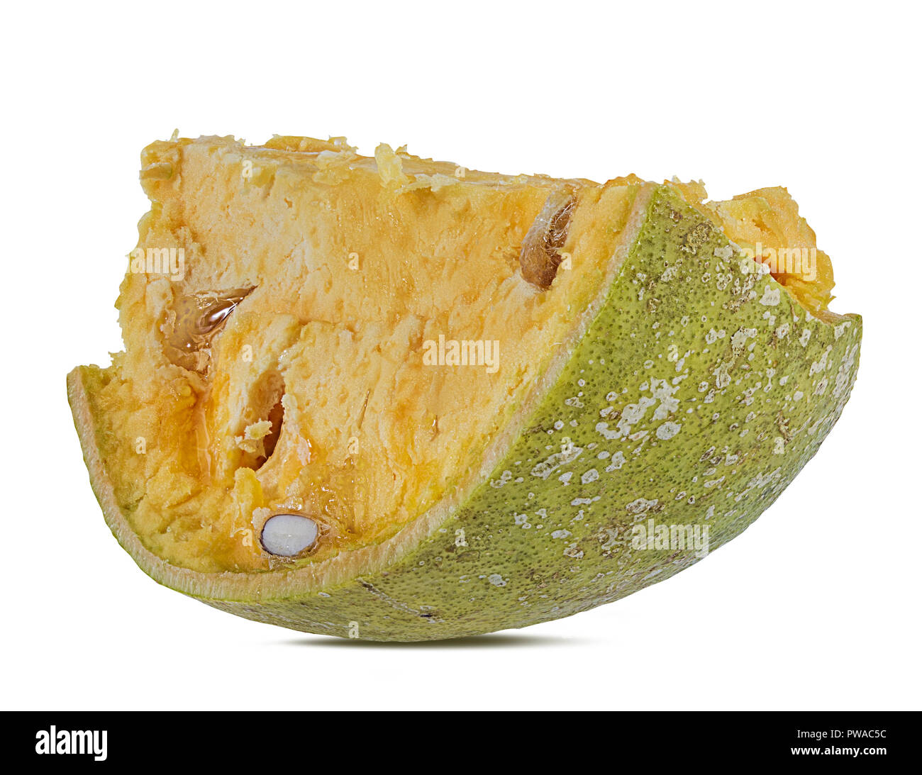 Bael Früchte oder Holz Apfel Obst (Aegle marmelos) auf weißem Hintergrund Stockfoto