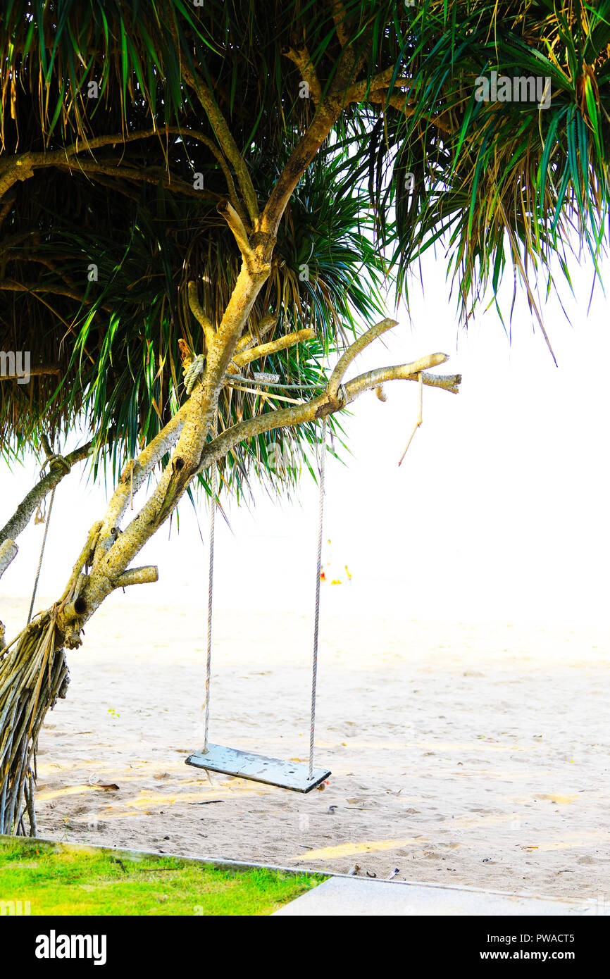 Holz- swing Chair auf Baum in der Nähe von Strand, Thailand hängen. Stockfoto