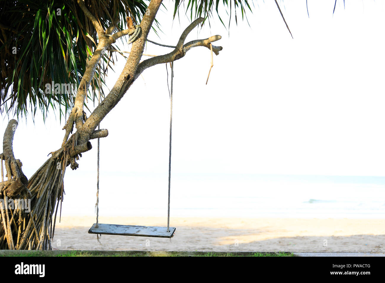 Holz- swing Chair auf Baum in der Nähe von Strand, Thailand hängen. Stockfoto