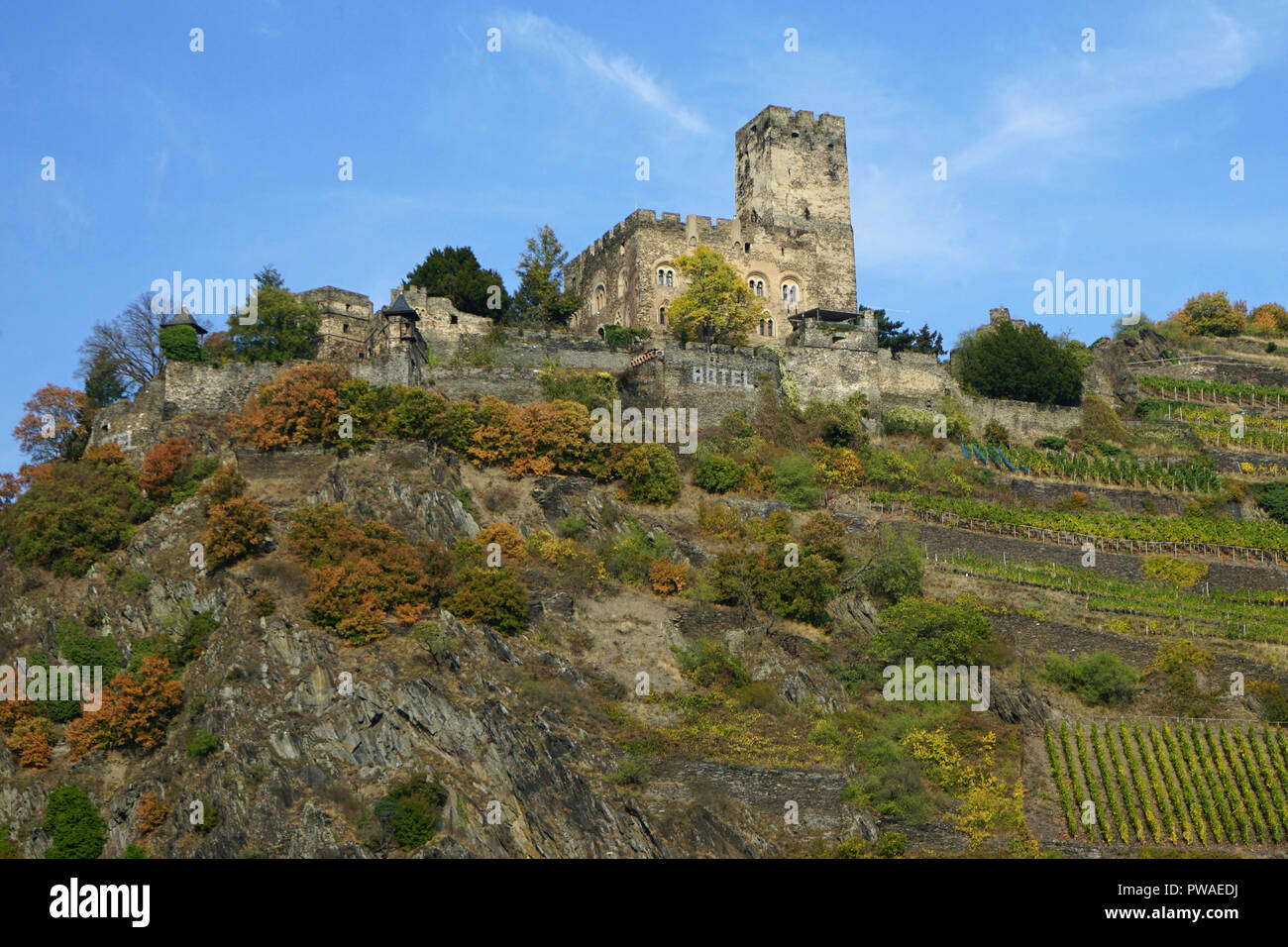 Burg Gutenfels, Kaub, Welterbe Kulturlandschaft Oberes Mittelrheintal, Rhein, Deutschland, Europa Stockfoto
