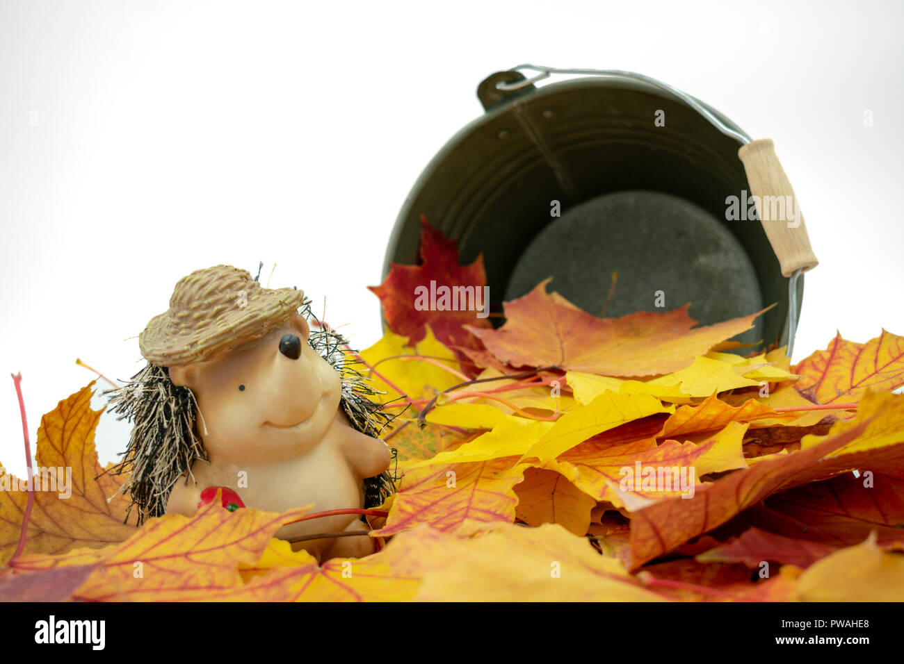 Süße Igel mit Strohhut steht in einem Stapel von Blättern Stockfoto