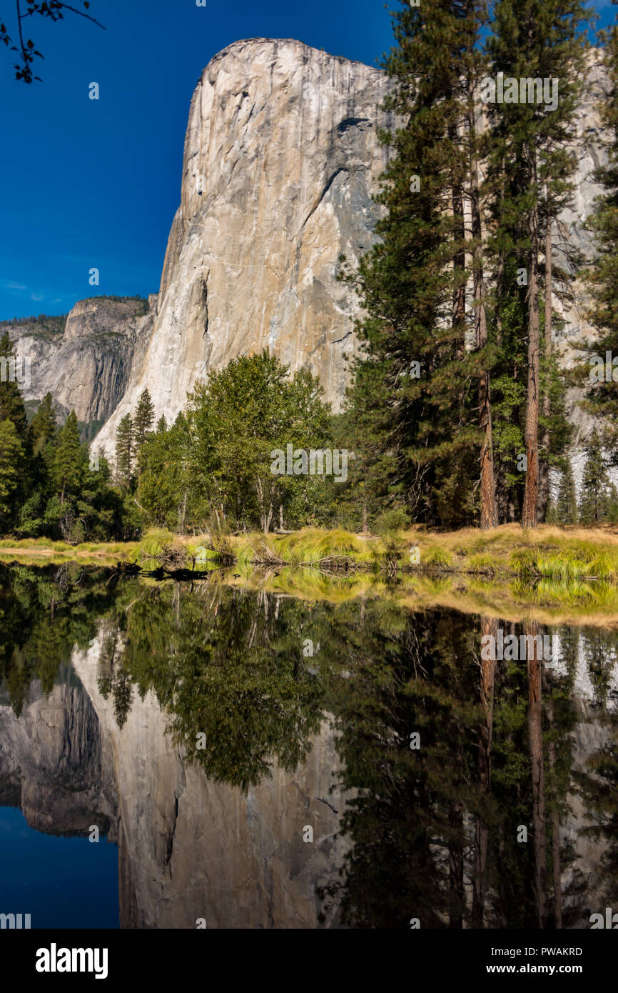 Die beeindruckenden Felsformationen des El Capitan in einem Pool von Wasser im Yosemite Valley, Yosemite National Park, Kalifornien, USA widerspiegelt Stockfoto