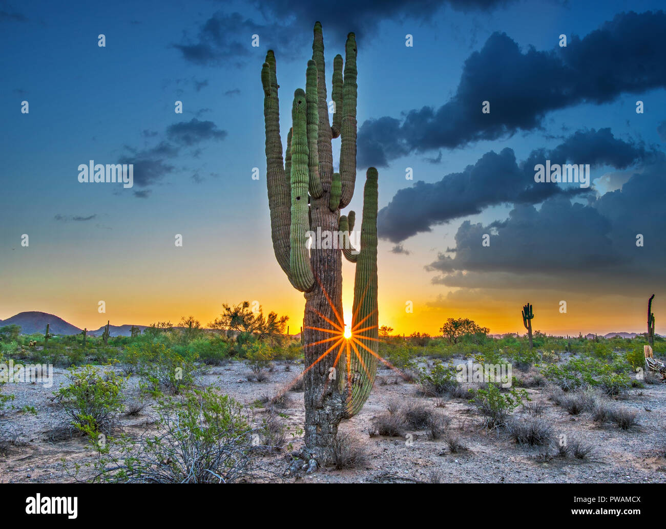 Sonnenuntergang in der Wüste. Habe ich diesen schönen Sonnenuntergang in Peoria, Arizona gefangen. Stockfoto
