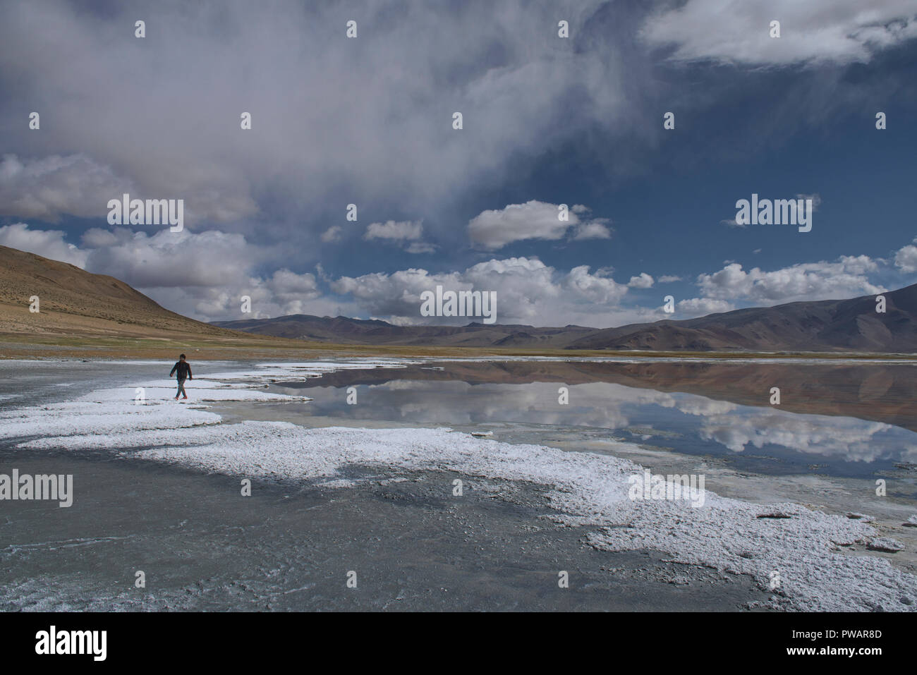 Trekking entlang Tso Kar See, Ladakh, Indiavi Stockfoto