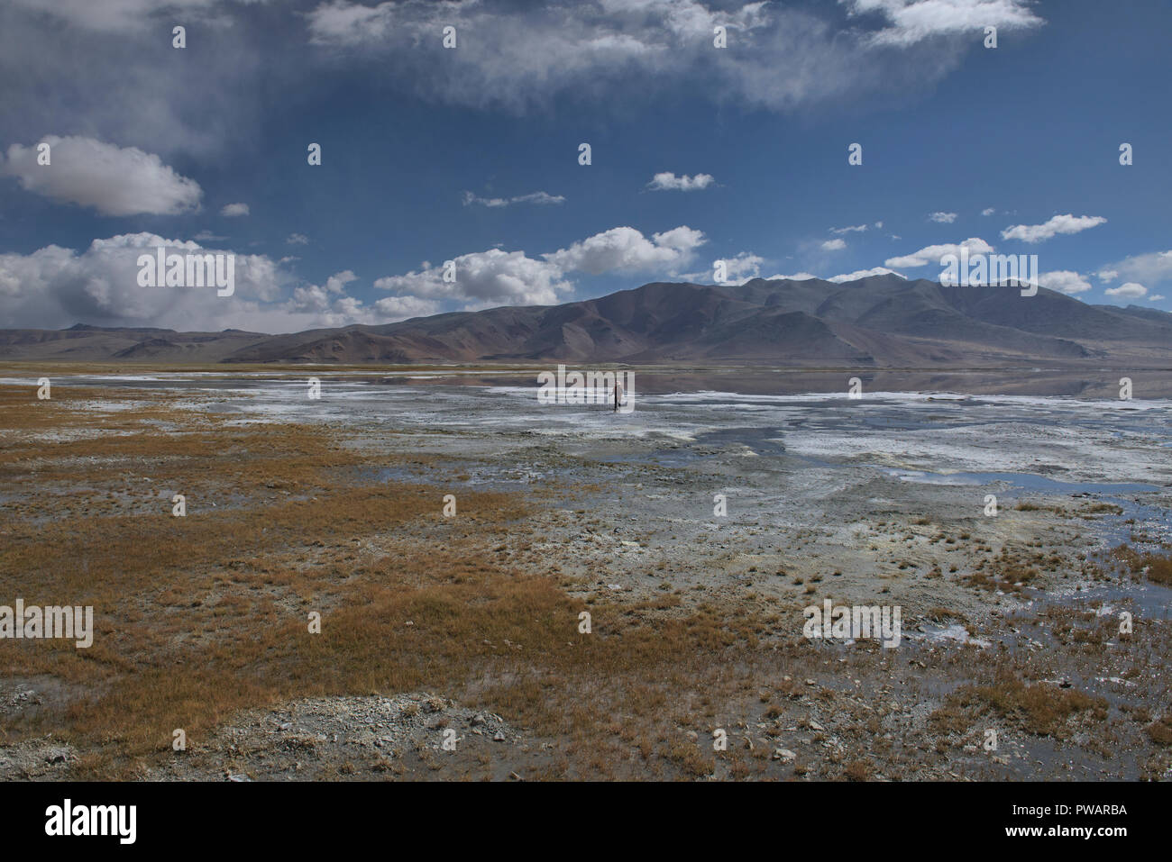 Trekking entlang Tso Kar See, Ladakh, Indiavi Stockfoto