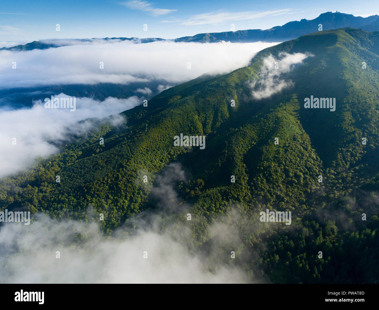 Berge in der Pico das Pedras, Santana, Madeira, Portugal Stockfoto