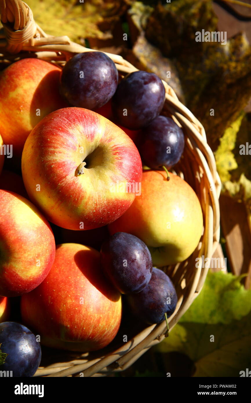 Essen: Apfel und Pflaumen in einem Korb Stockfoto