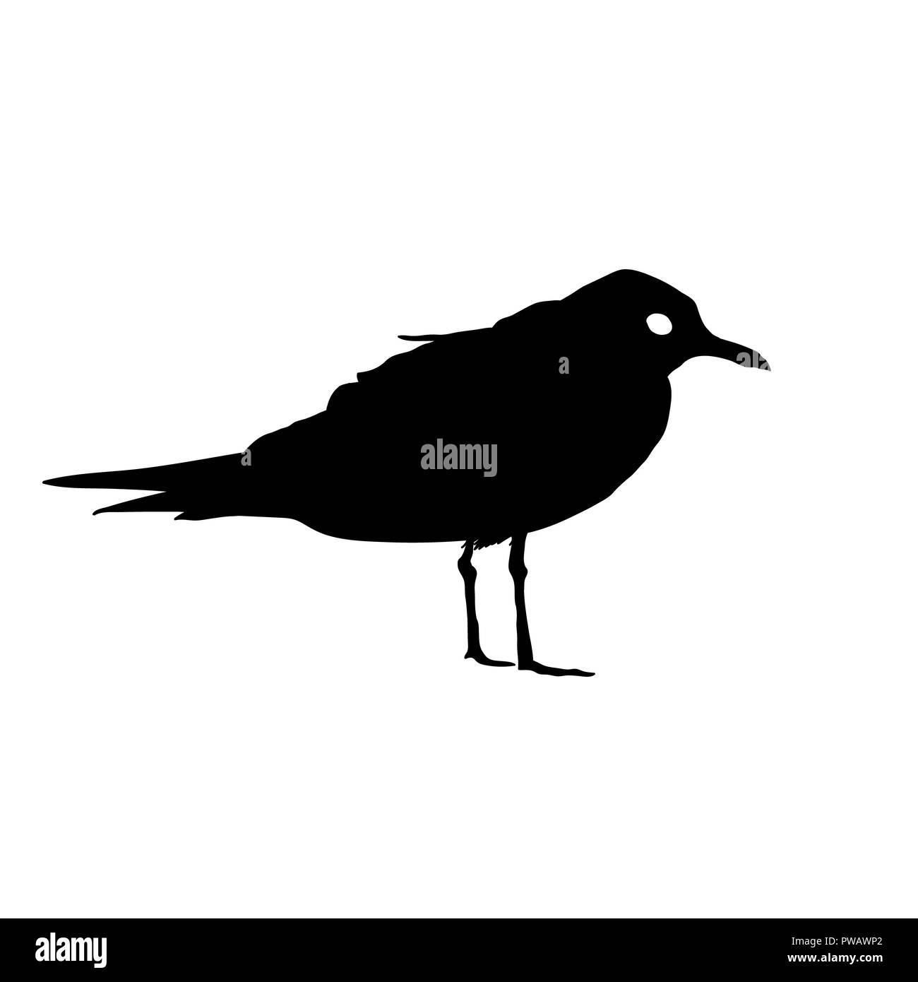 Möwe Vogel schwarze Silhouette auf weißem Hintergrund. Abbildung. Stockfoto