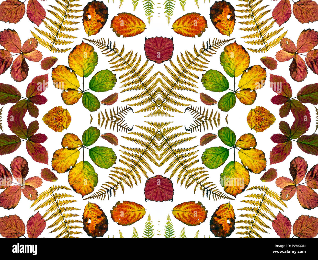 Kaleidoskop Layout der im Herbst Stockfoto
