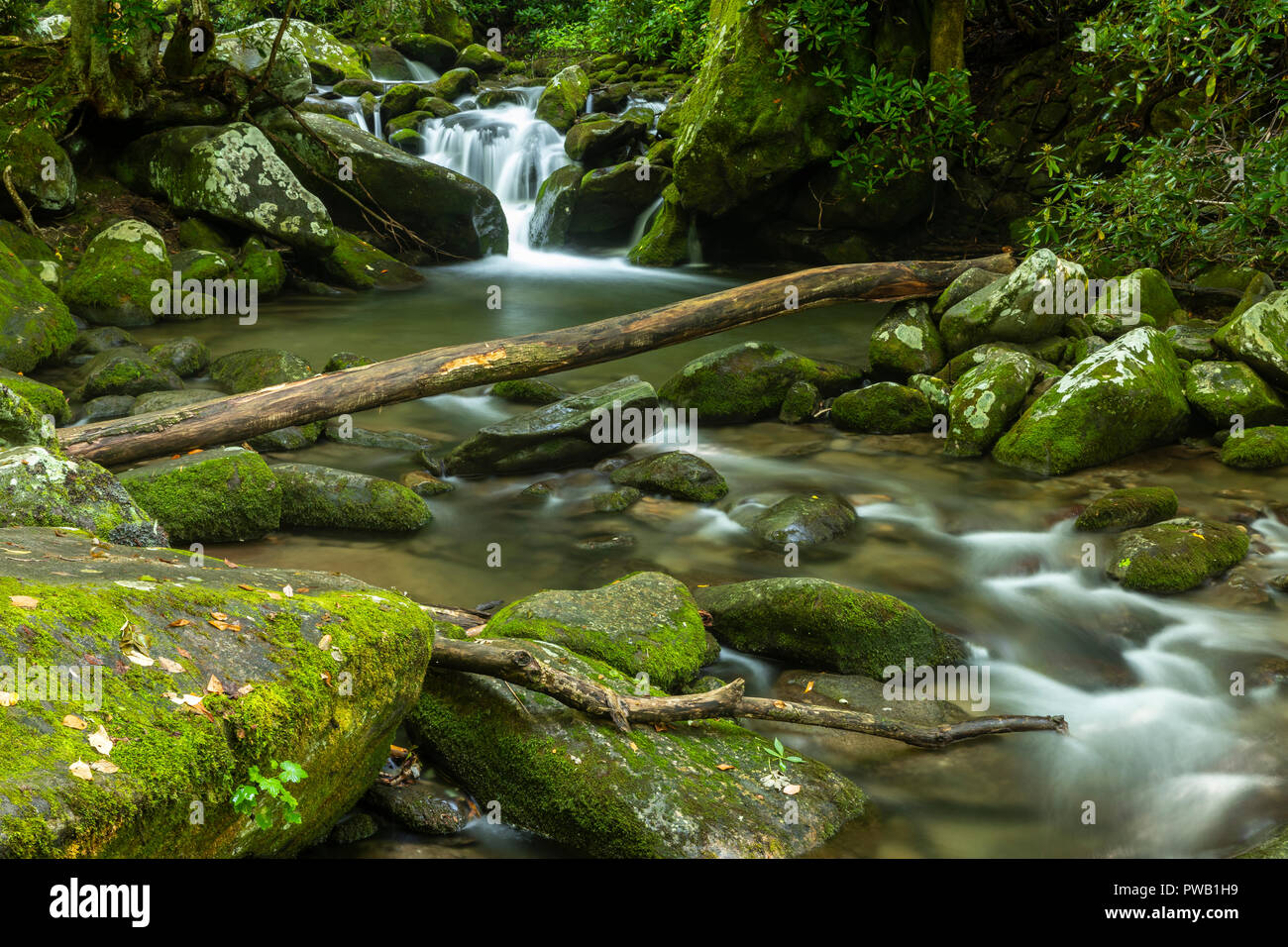 Roaring Fork Creek malerische Landschaft Stockfoto