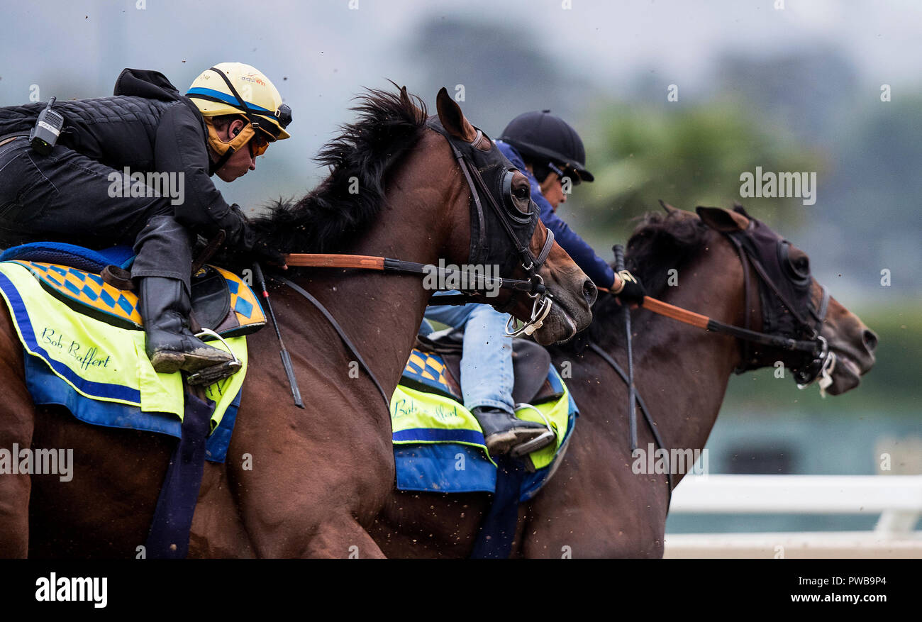 Arcadia, CA, USA. 14 Okt, 2018. 14. Oktober 2018: Breeders' Cup Classic Kämpfer Westküste mit drayden Van Dyke, bei Santa Anita Park am 14. Oktober in Arcadia, Kalifornien 2018. Evers/ESW/CSM/Alamy leben Nachrichten Stockfoto