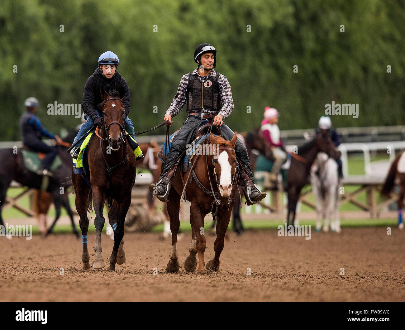 Arcadia, CA, USA. 14 Okt, 2018. 14. Oktober 2018: Mckinzie mit Joe Talamo, arbeitet in der Vorbereitung für den Breeders' Cup, bei Santa Anita Park am 14. Oktober 2018 in Arcadia, Kalifornien. Evers/ESW/CSM/Alamy leben Nachrichten Stockfoto